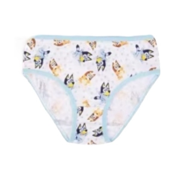 Bluey And Bingo Briefs - Picture 7 of 9